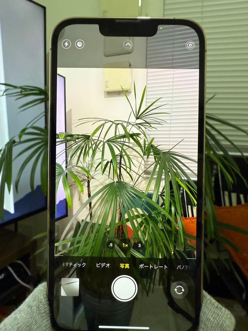 Apple iPhone 13Pro 256GB ゴールド 本体 ジャンク