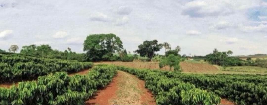 コーヒーメーカー・エスプレッソマシン K.M