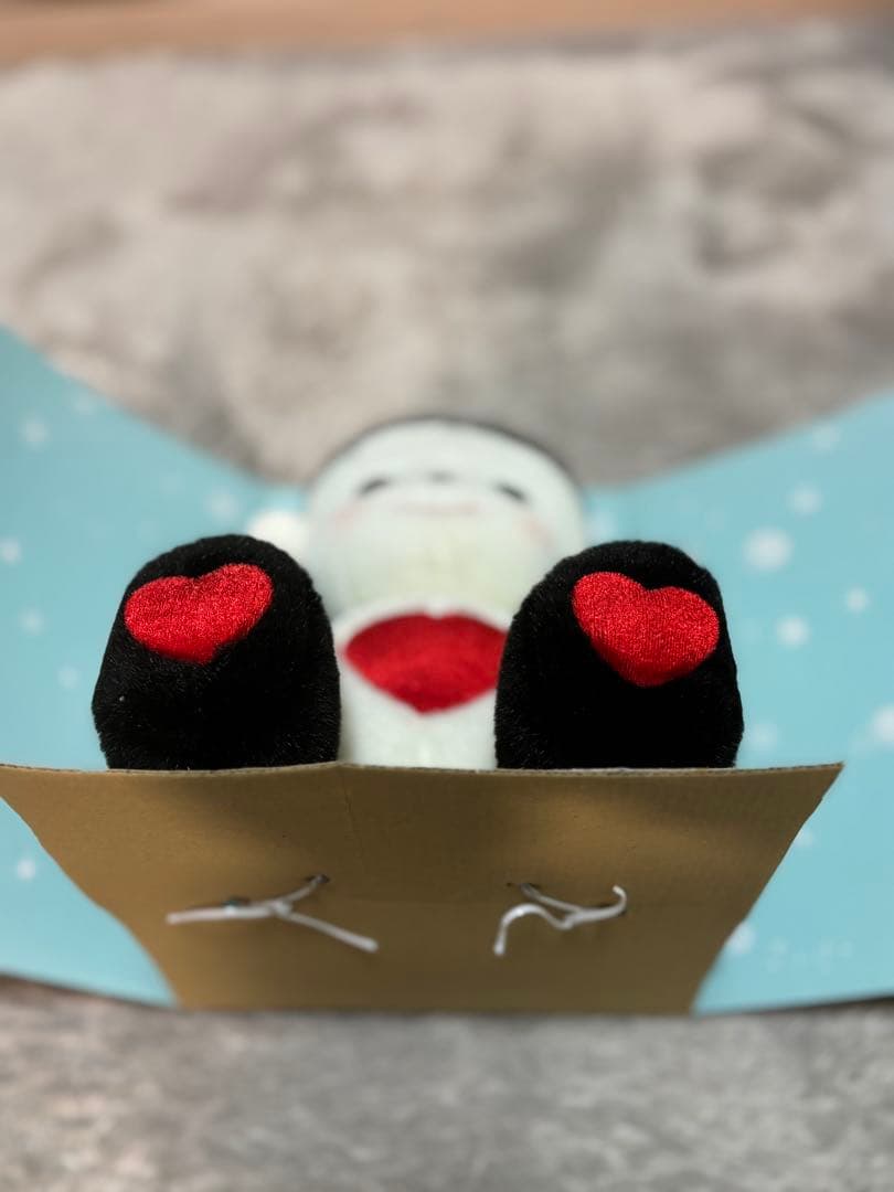 未使用？　プリモプエル　Ｃタイプ