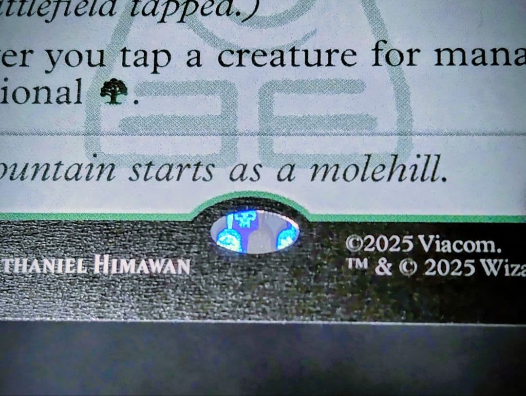 【MTG】「アナグマモグラの仔/Badgermole Cub」英語版1枚