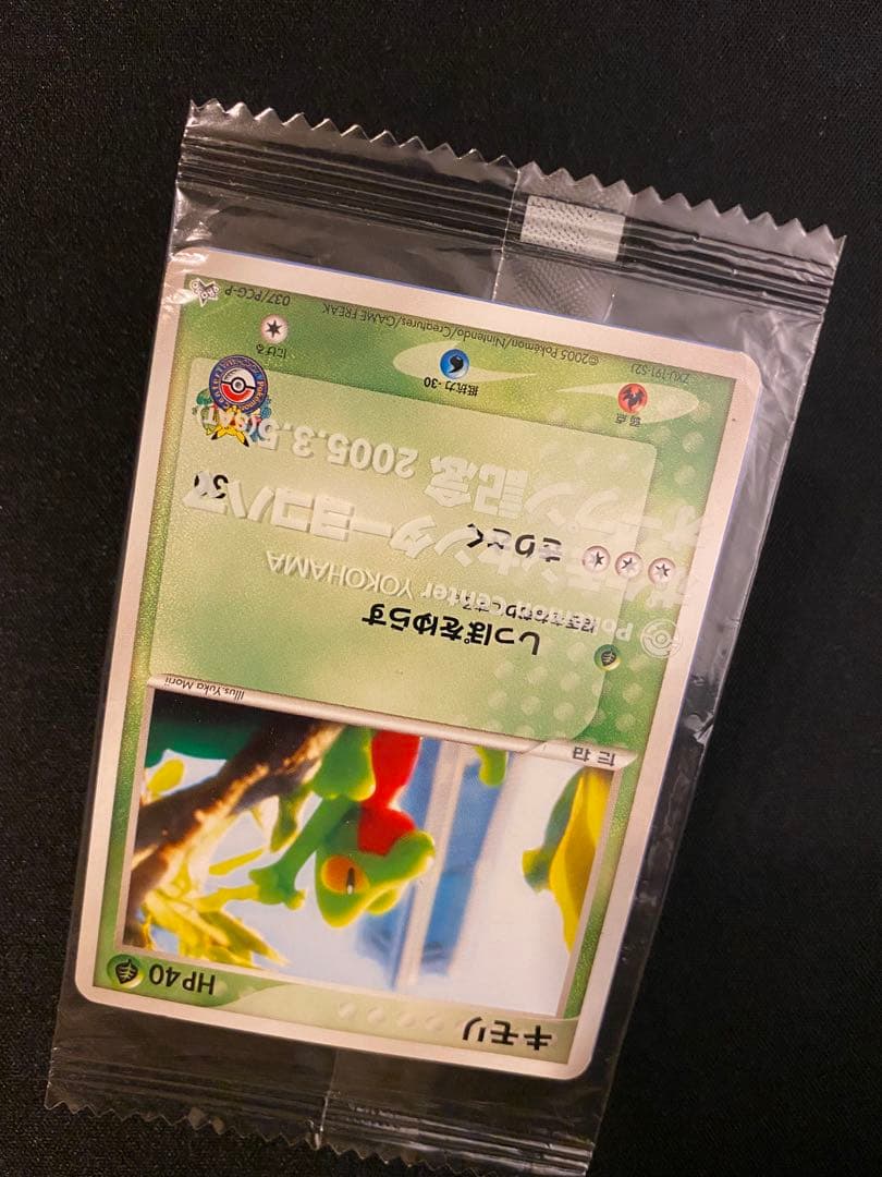 ＜未開封＞キモリ　037/PCG ポケモンセンターヨコハマ　オープン記念　プロモ