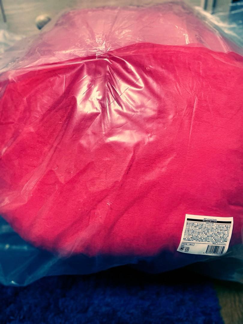 Nissy BIG Lippy ぬいぐるみ NEP会員限定 新品未開封