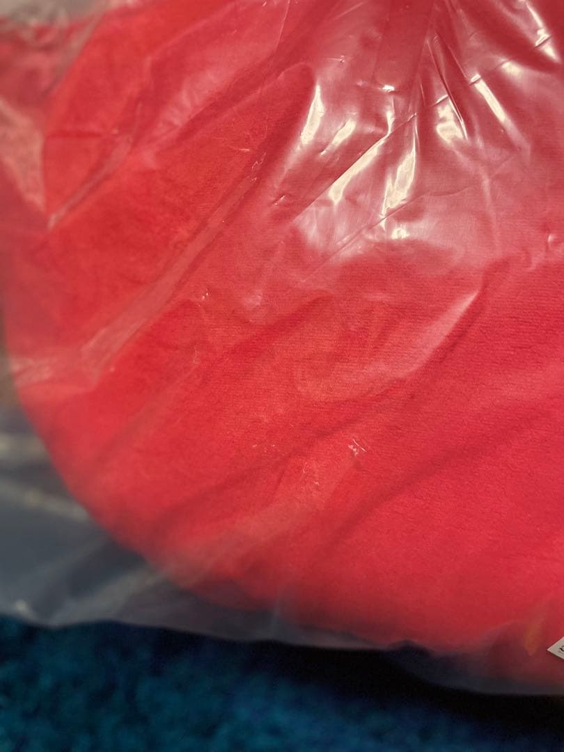 Nissy BIG Lippy ぬいぐるみ NEP会員限定 新品未開封