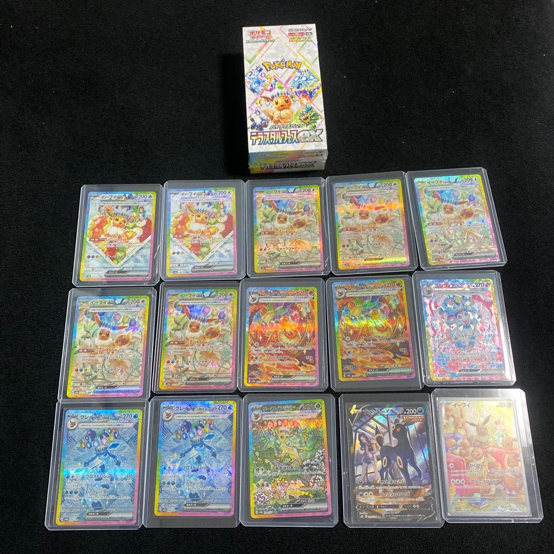 L*u様 テラスタルフェス未開封BOX➕イーブイsarセット