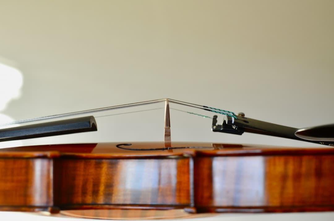 【極上響音】GLIGA VASILE gama 4/4