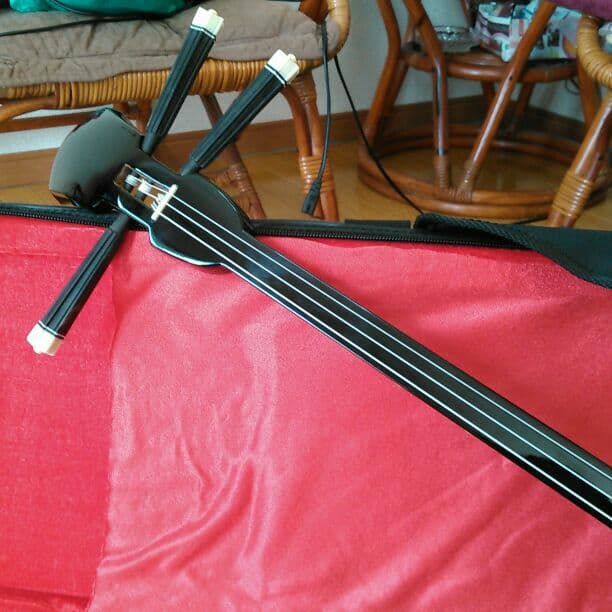 沖縄のさんしん