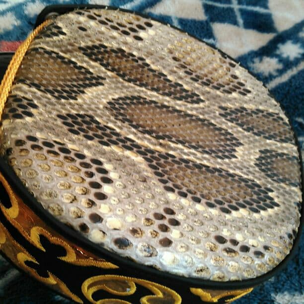 沖縄のさんしん