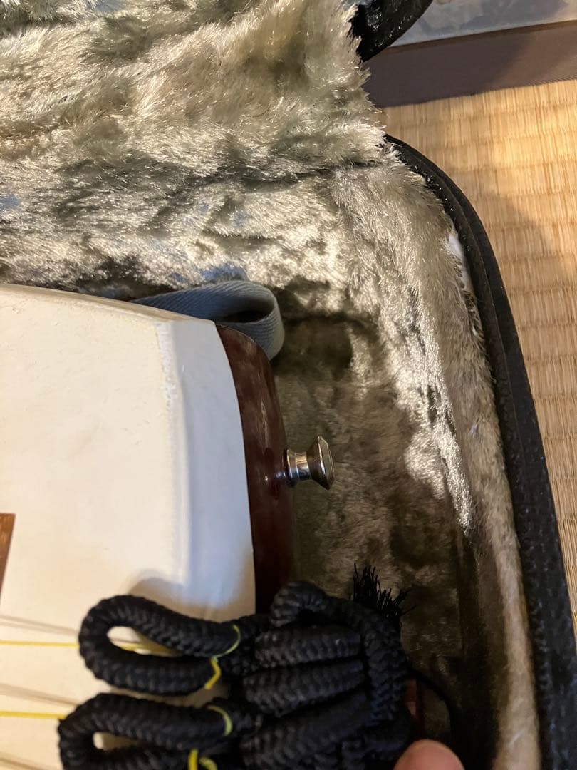 津軽三味線　撥 ハードケース