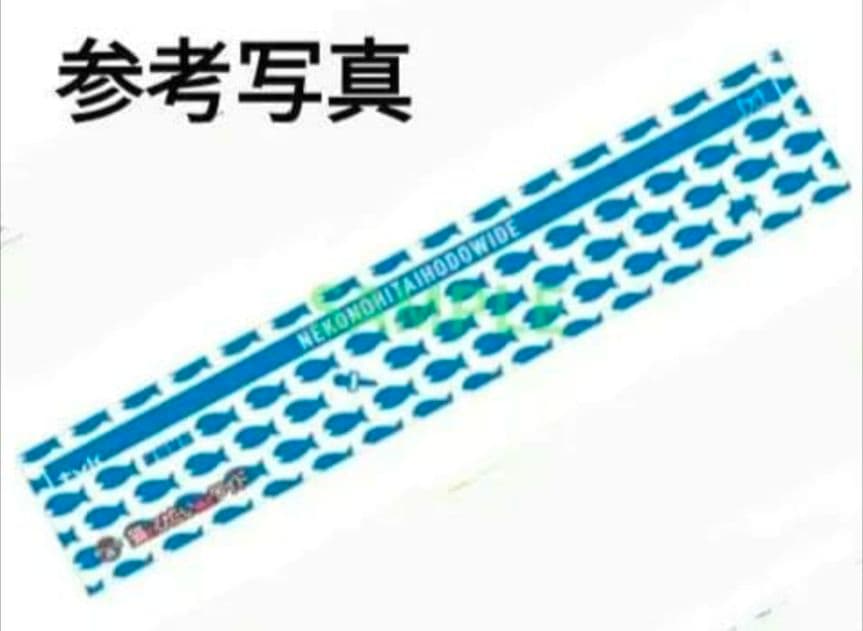 猫のひたいほどワイド 番組箱推しタオル 推し色タオル 2点 セット 猫ひた　最終