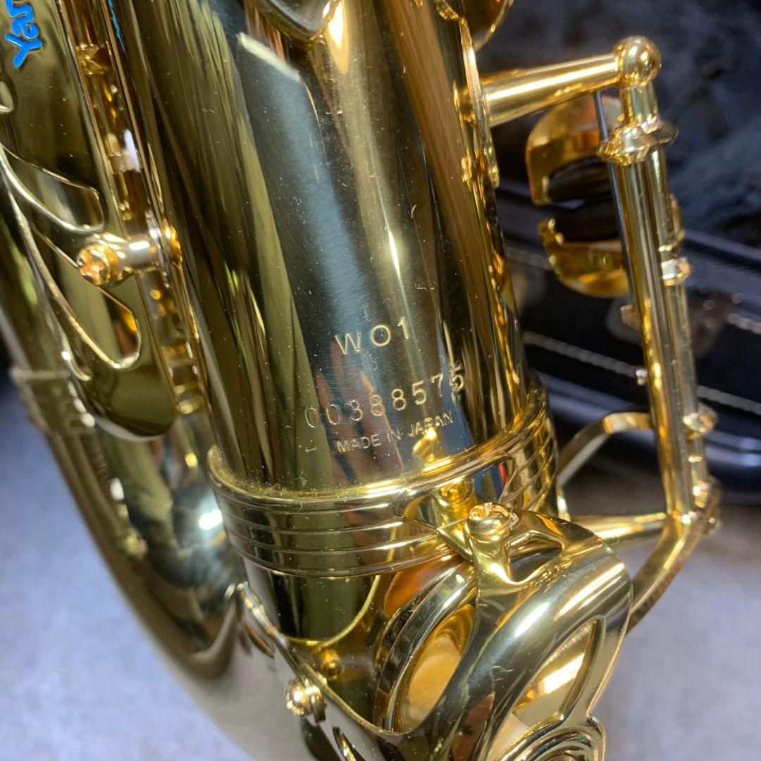 J892 YANAGISAWA アルトサックス W01 00388575 美品