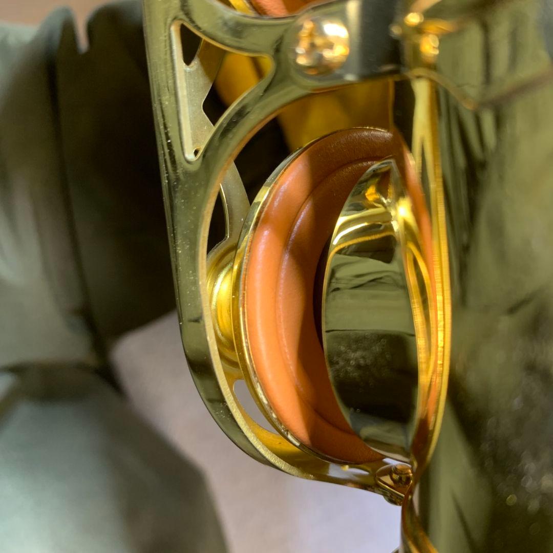 J892 YANAGISAWA アルトサックス W01 00388575 美品