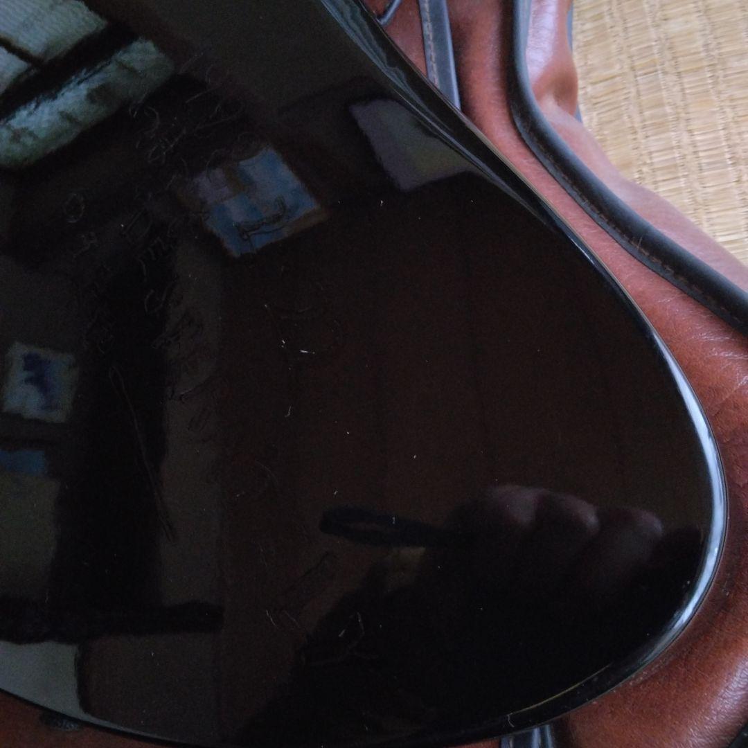 バークレーモッキンバード