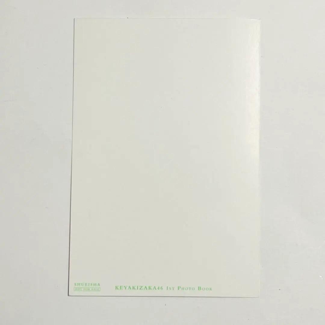 欅坂46 日向坂46 クリアファイル ポストカード