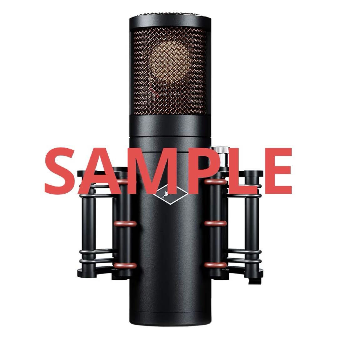 Antelope Audio(アンテロープオーディオ) Edge Go