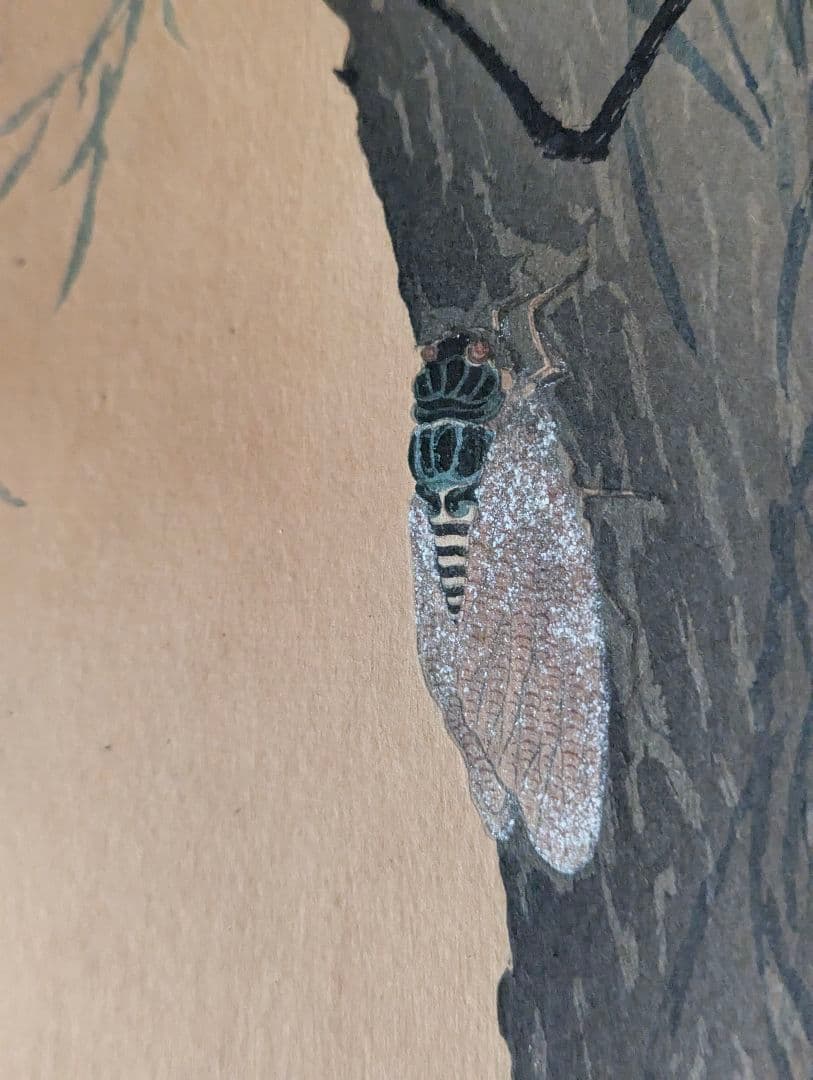 小原古邨「柳に油蟬」本物木版画