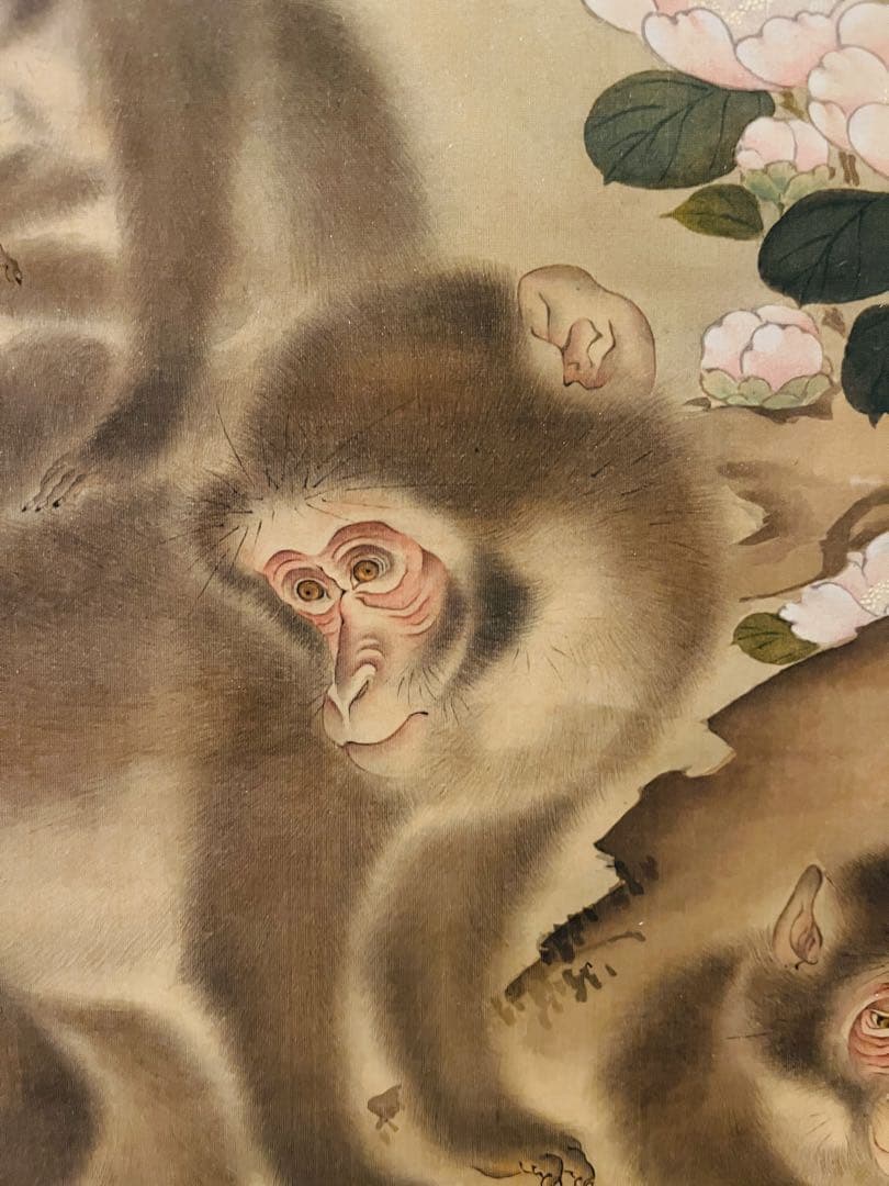 【掛軸箱付き】森狙仙 親子猿之図