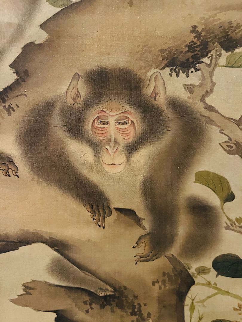 【掛軸箱付き】森狙仙 親子猿之図