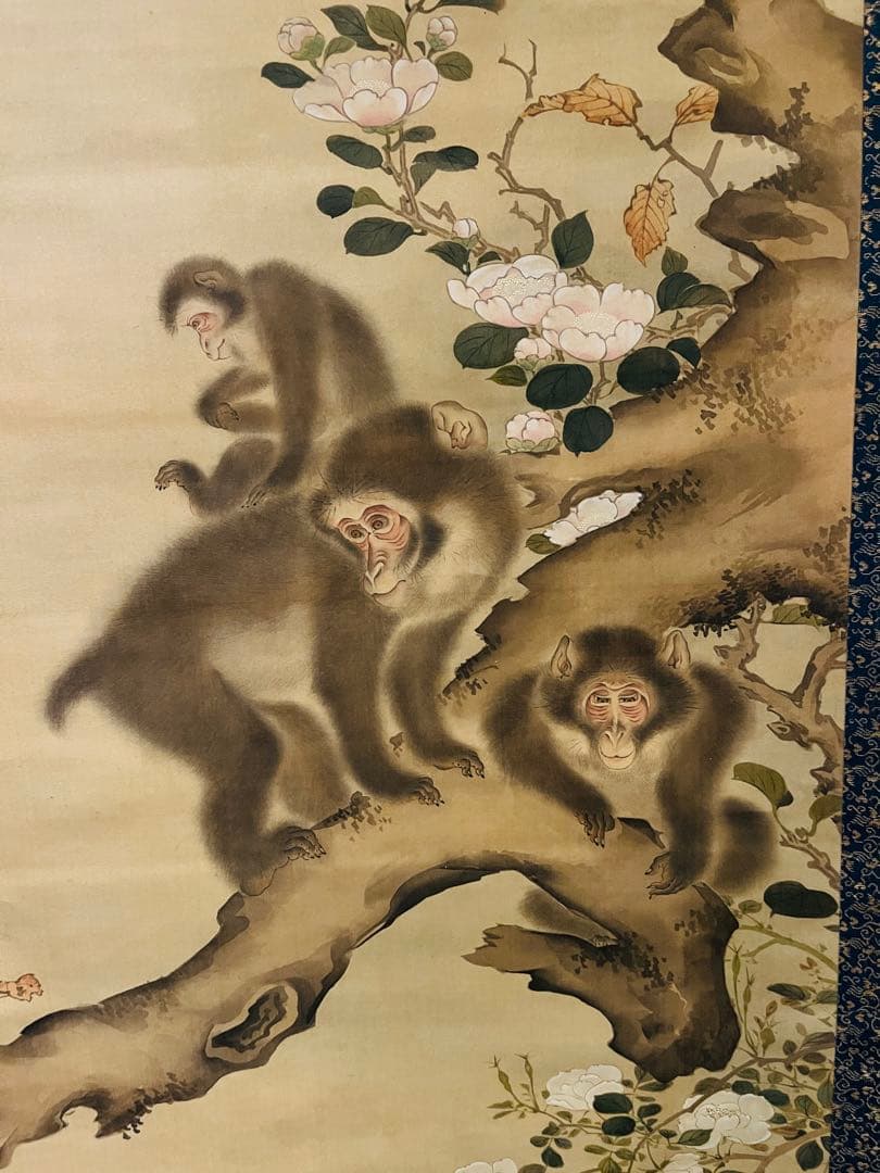 【掛軸箱付き】森狙仙 親子猿之図