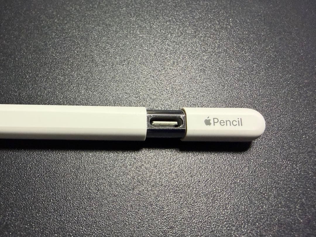 Apple Pencil アップルペンシル USB-C 純正