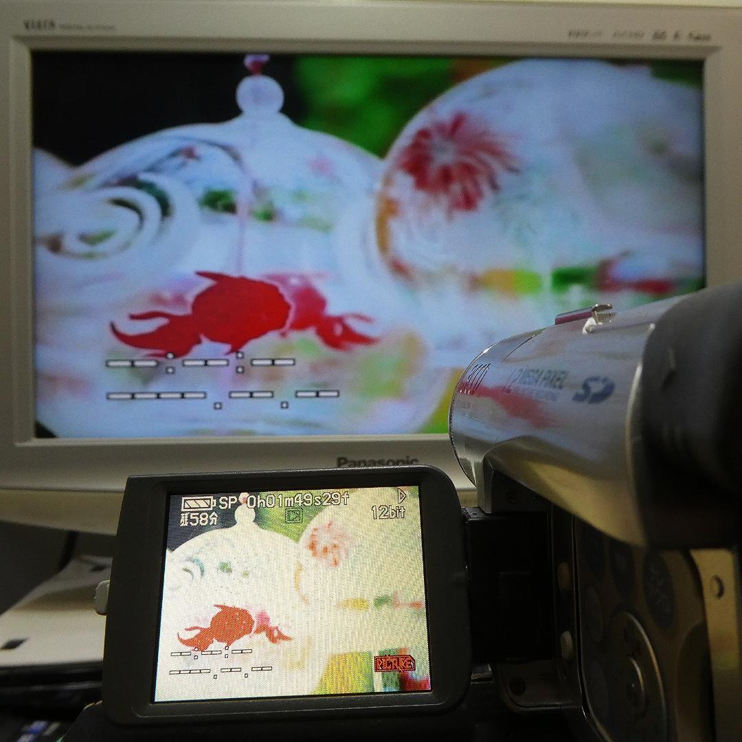 動作良好 パナソニック NV-GS120 MiniDVビデオカメラDVD化に最適