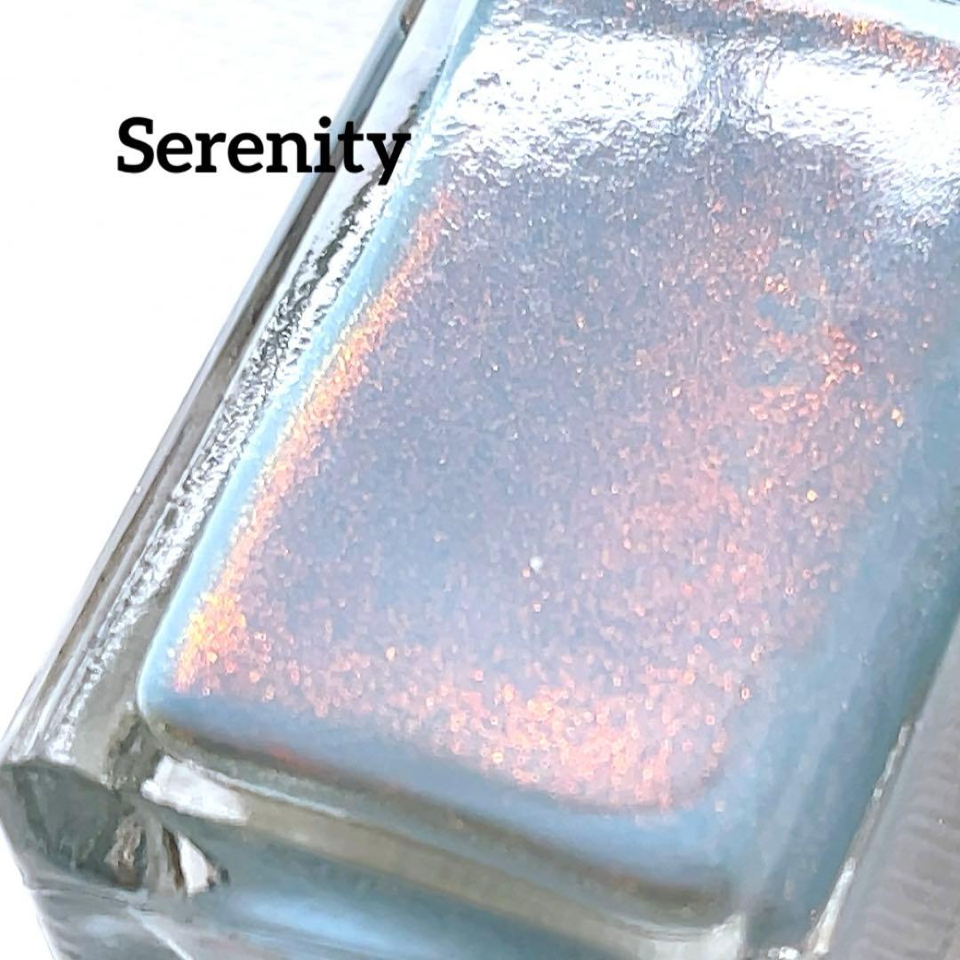 Shleee Polish ネイルポリッシュセット 19本　マニキュア