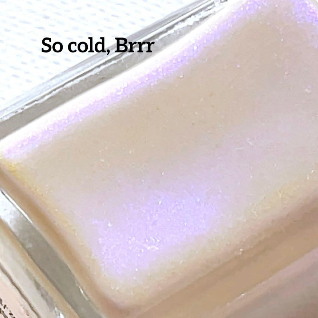 Shleee Polish ネイルポリッシュセット 19本　マニキュア