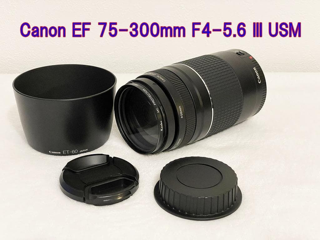 レンズ(ズーム) CANON EF75-300mm F4-5.6 III USM