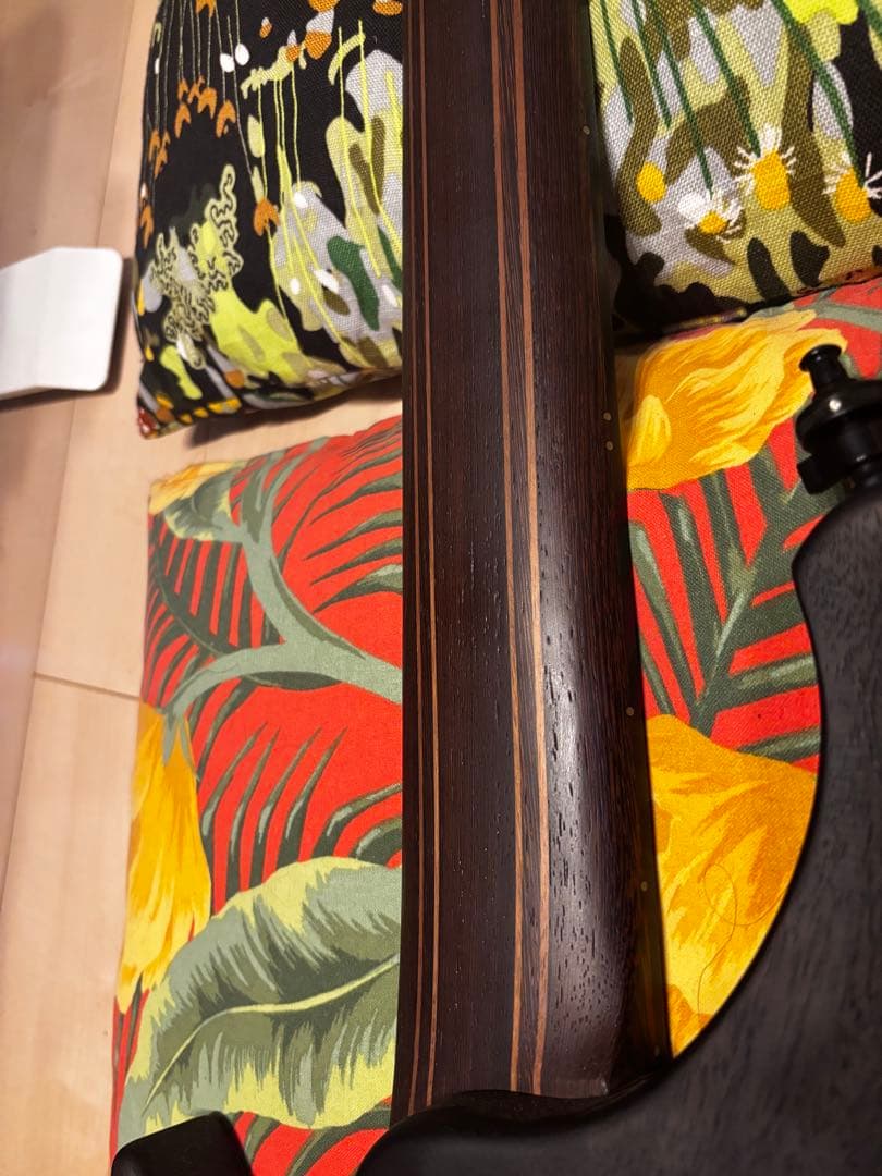 Ibanez EHB1506MS-BIF 6弦ベース