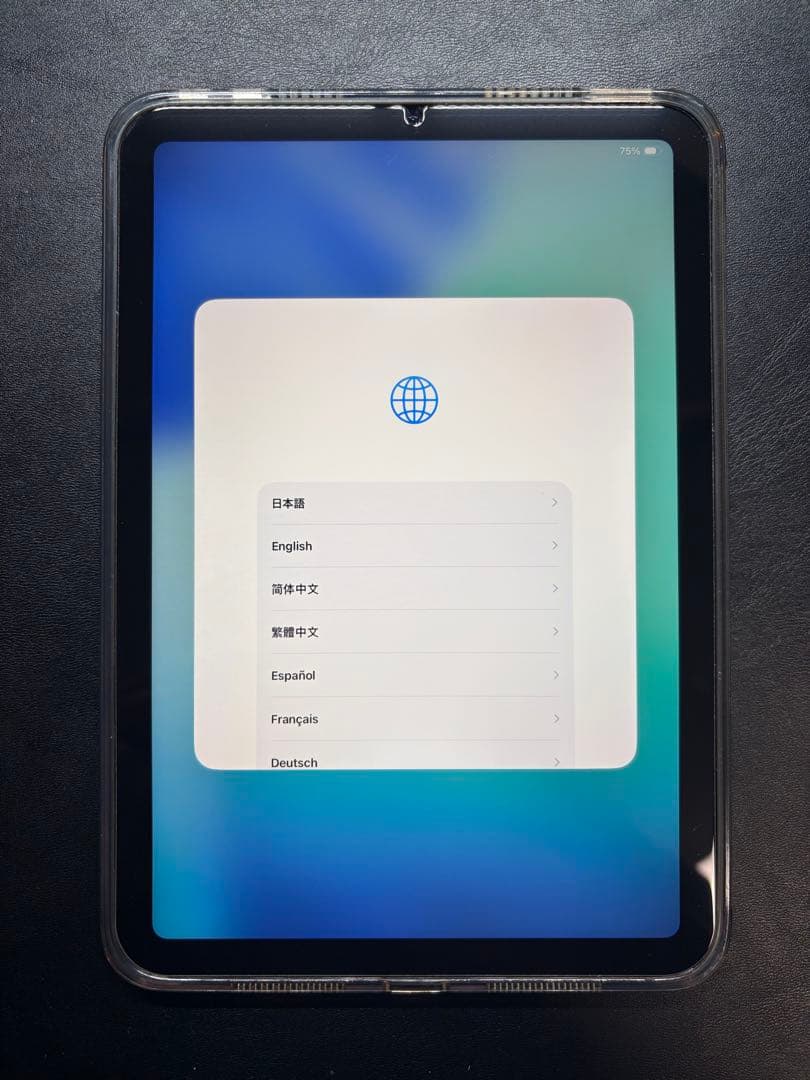 【付属品完備】iPad mini A17pro 第7世代128GB ブルー