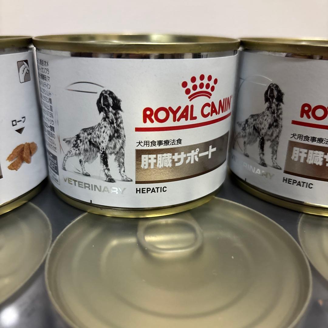 ロイヤルカナン　 CANIN 肝臓サポート ウエットフード