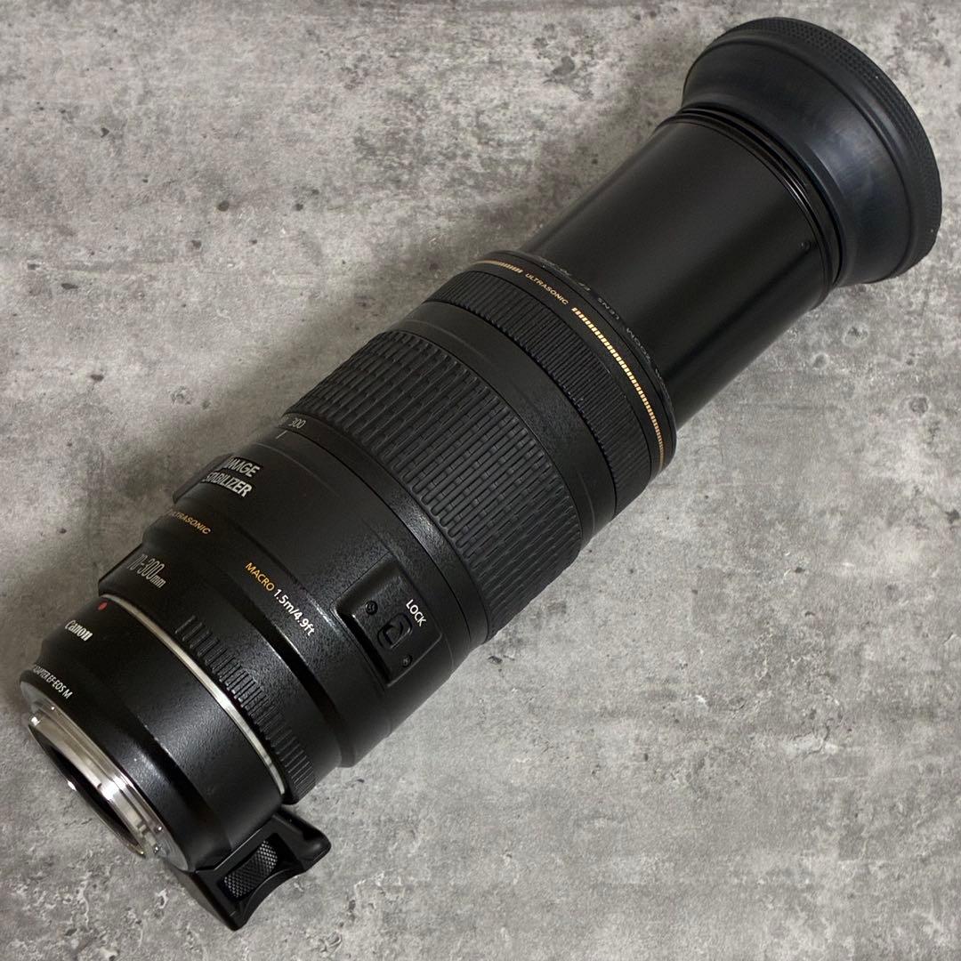 ⭐️美品⭐️Canon EF 70-300mm & EF EOS M アダプター