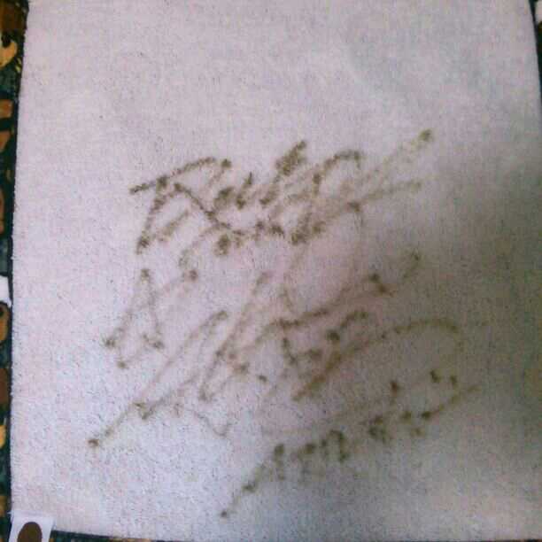 EXILEATSUSHI直筆サイン