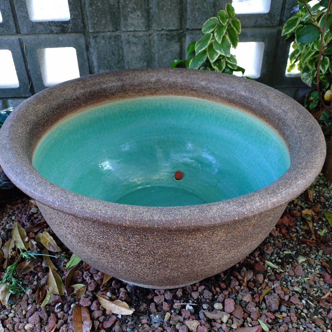 信楽焼　メダカ鉢　睡蓮鉢　水鉢　直径約50cm