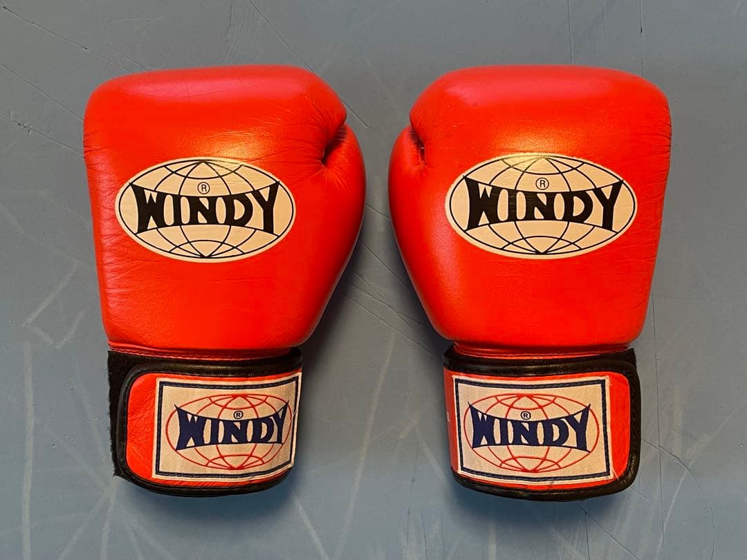 【海】WINDY 12oz ボクシンググローブ