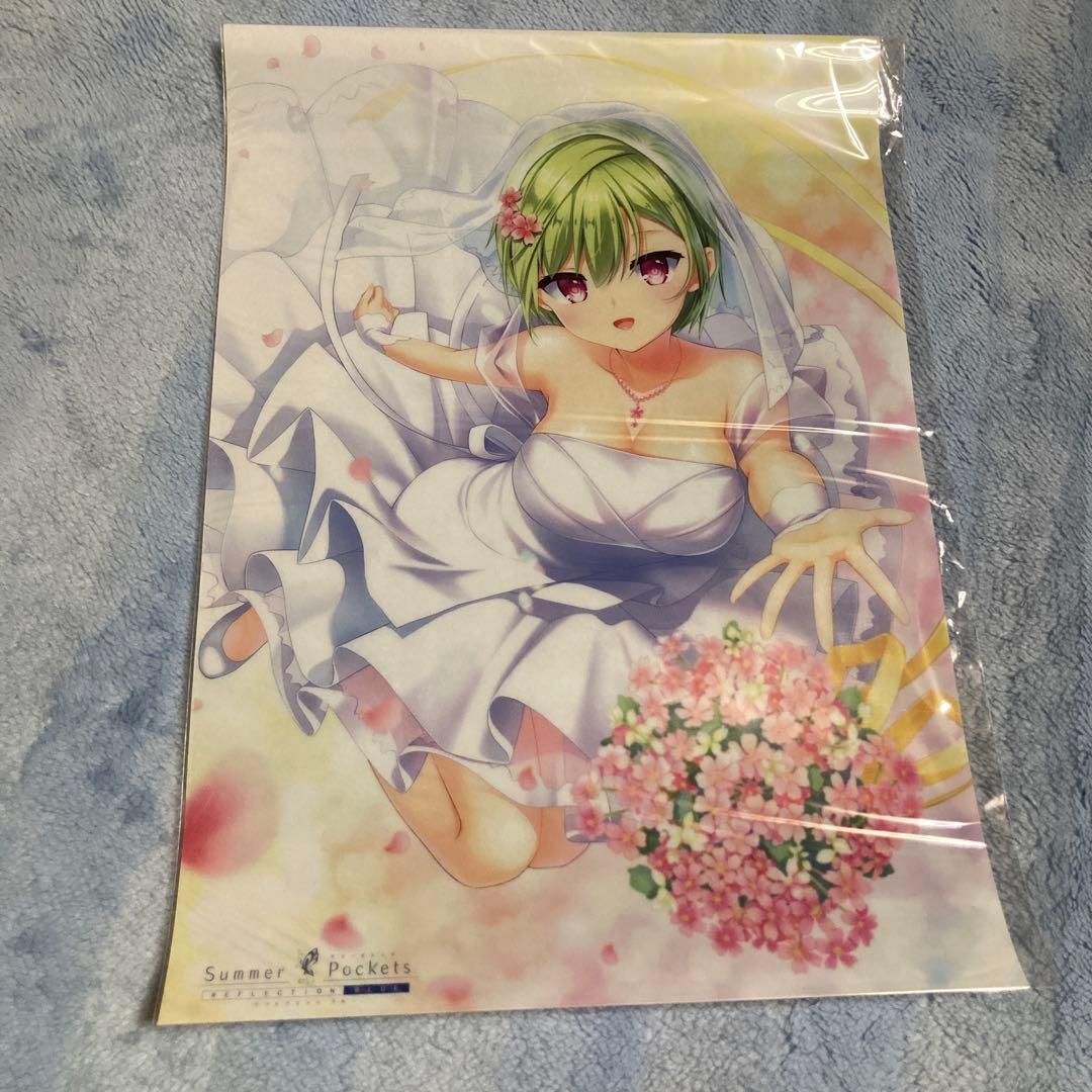 Summer Pockets クリアポスター　4枚まとめ売り