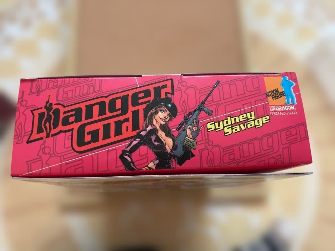 DRAGON　デンジャーガール　フィギュア　２体セット