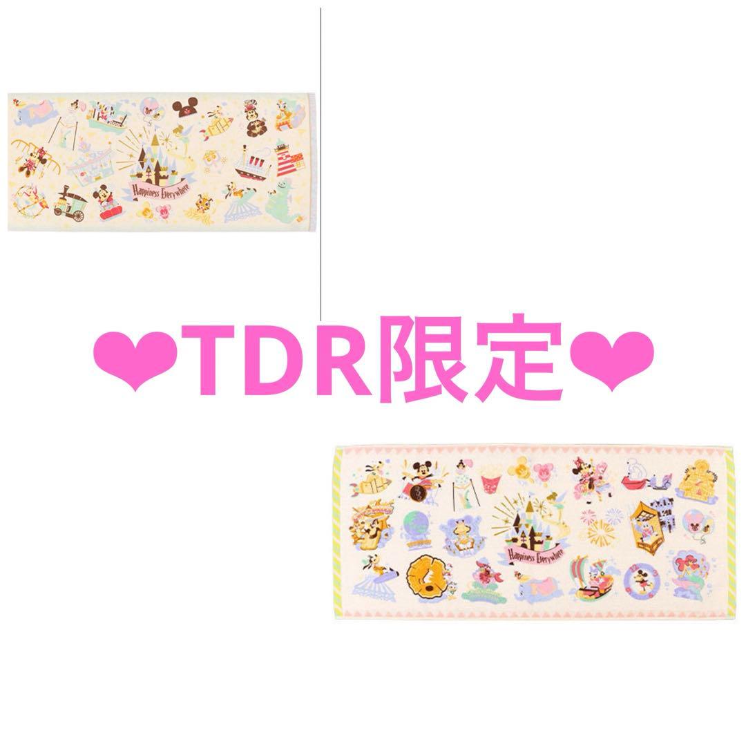 【購入前コメント必須】ディズニーリゾート☆パークアイコン☆タオルセット