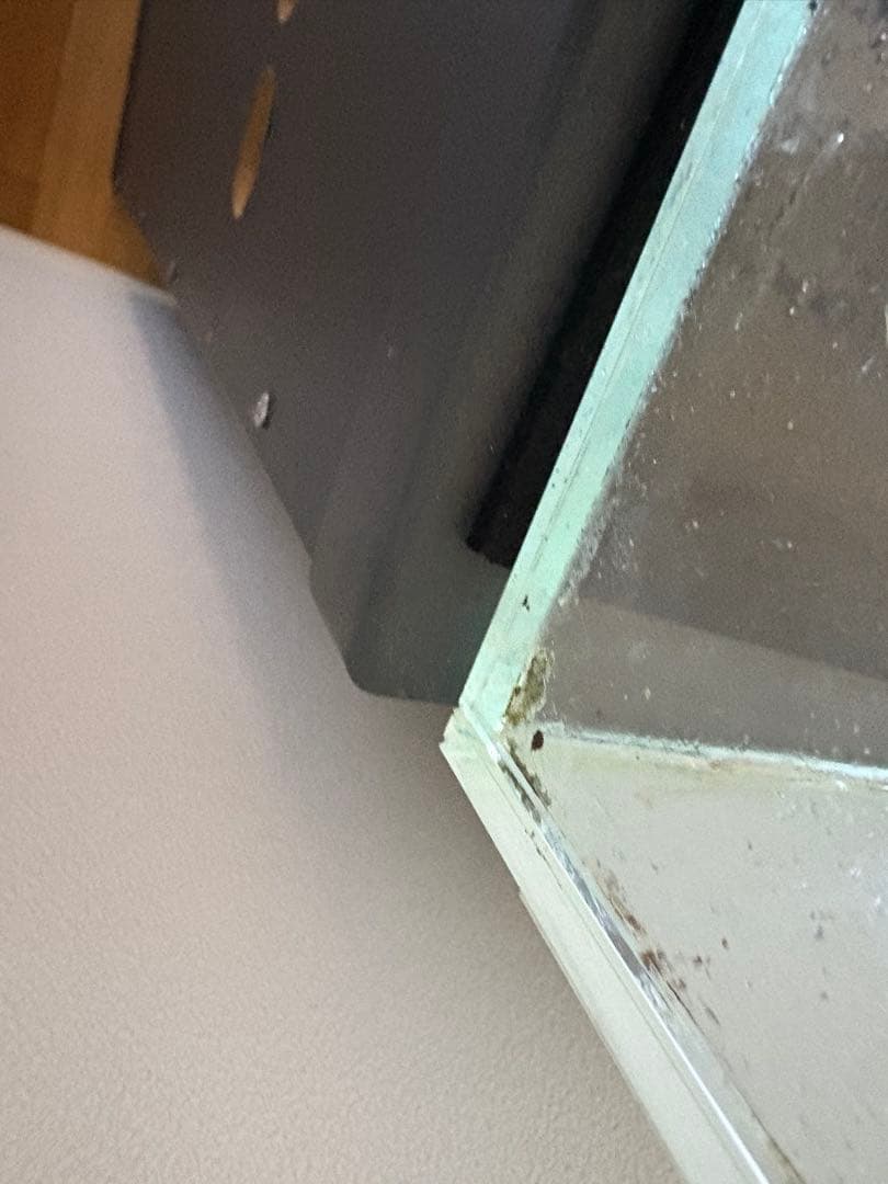 ada 水槽セット　引き取り限定