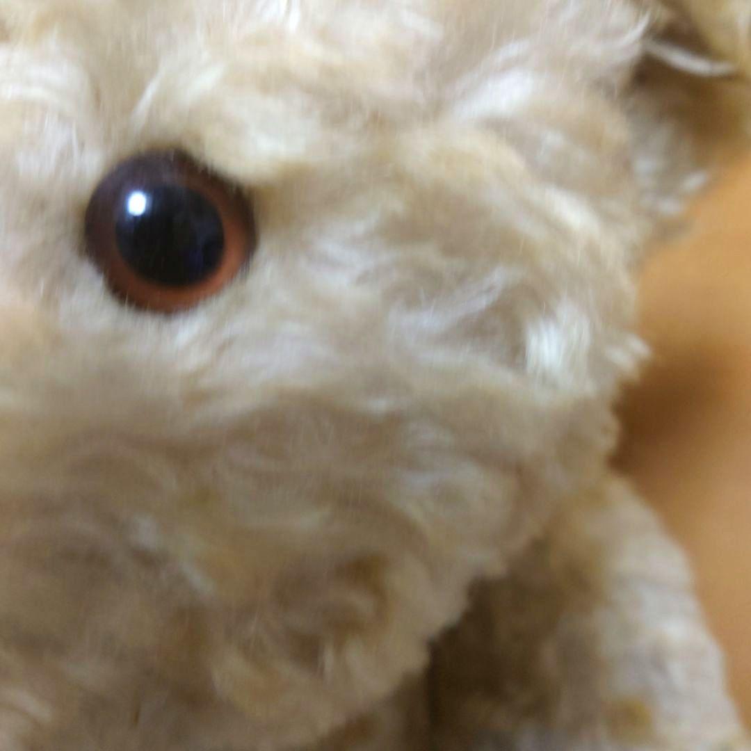 シュタイフ　テディベア