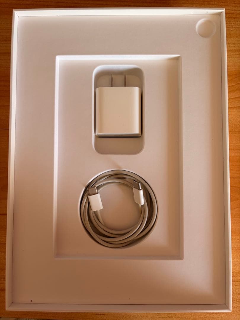 【美品】　iPad Pro 11inch 第1世代 64GB WiFi-only