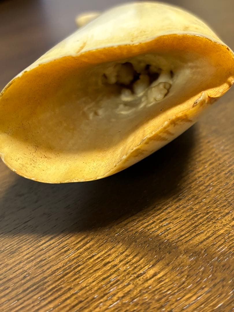 マッコウクジラ 鯨牙 鯨歯 天然素材 印材 彫刻　オブジェ