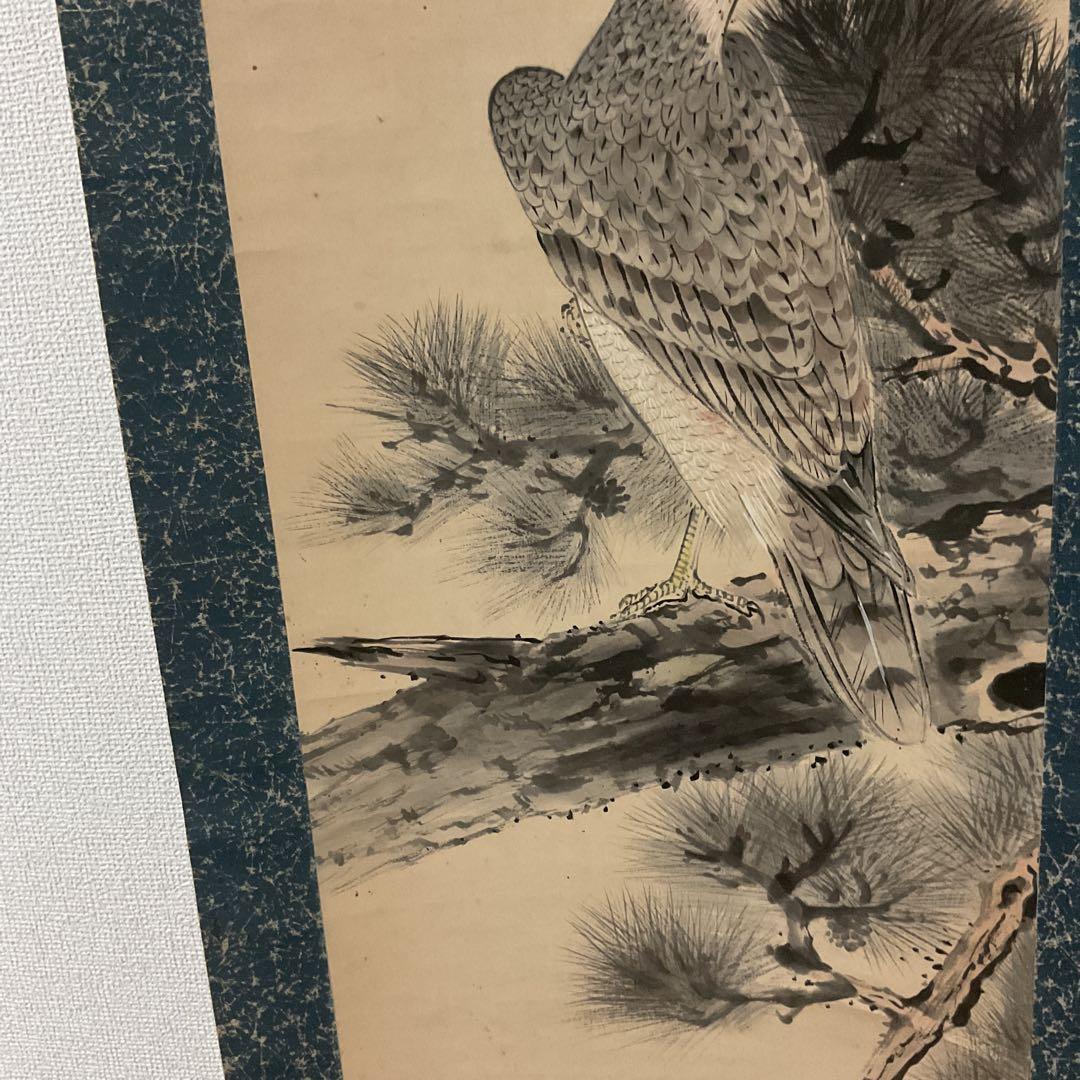 松上鷹図 紙本淡彩水墨画 落款印譜在（生峰）紙表装 軸先 紫檀