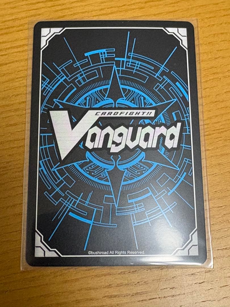 スノウスキップパルヴィLSR③