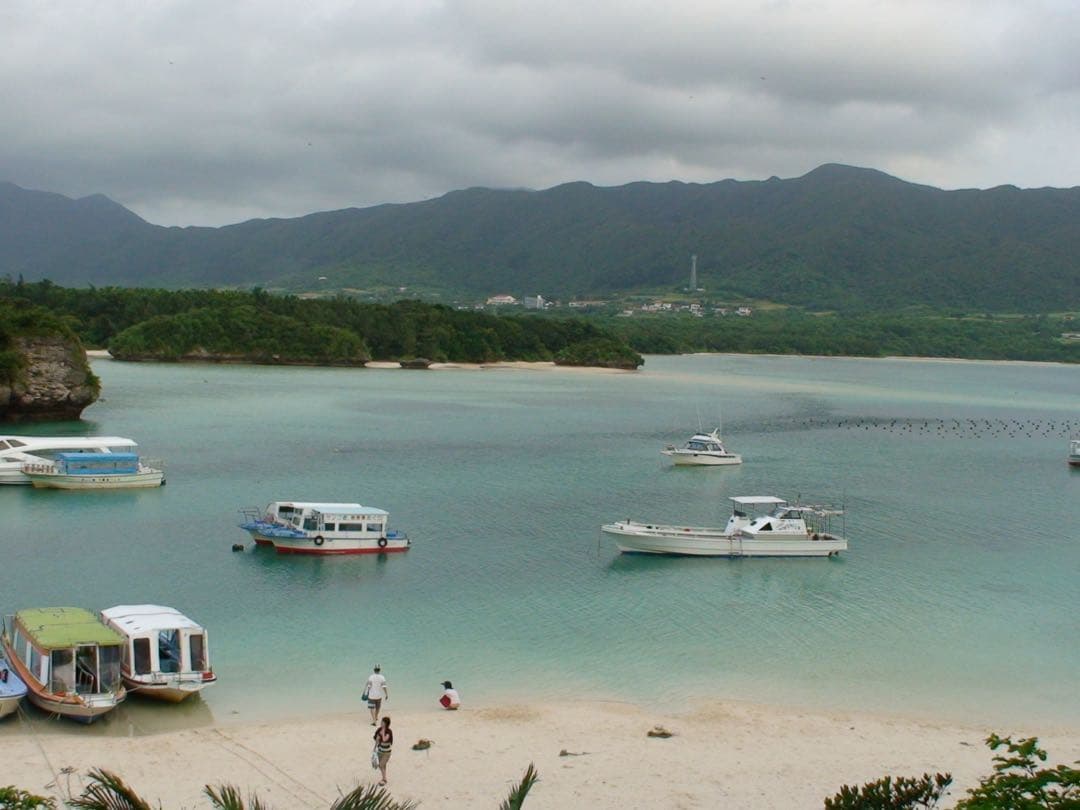 SONY ハンディカム HDR-HC3 ビデオカメラ　充電器　作例あり