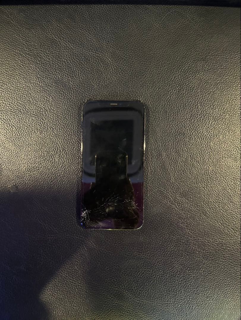 Apple iPhone 12 Pro 256GB 画面ひび割れあり　ジャンク