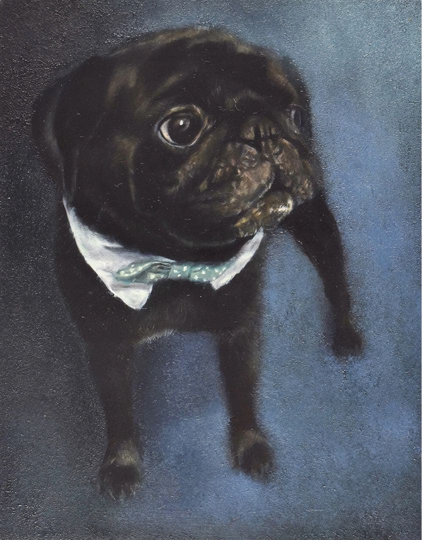 犬、猫、ペットの似顔絵オーダー