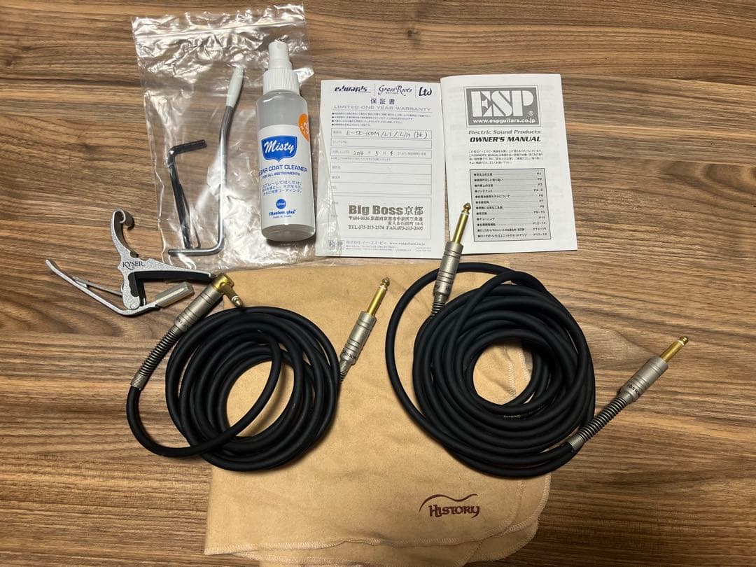 Edwards E-SE-100Mレフティ　【セミハードケース、付属品多数！】