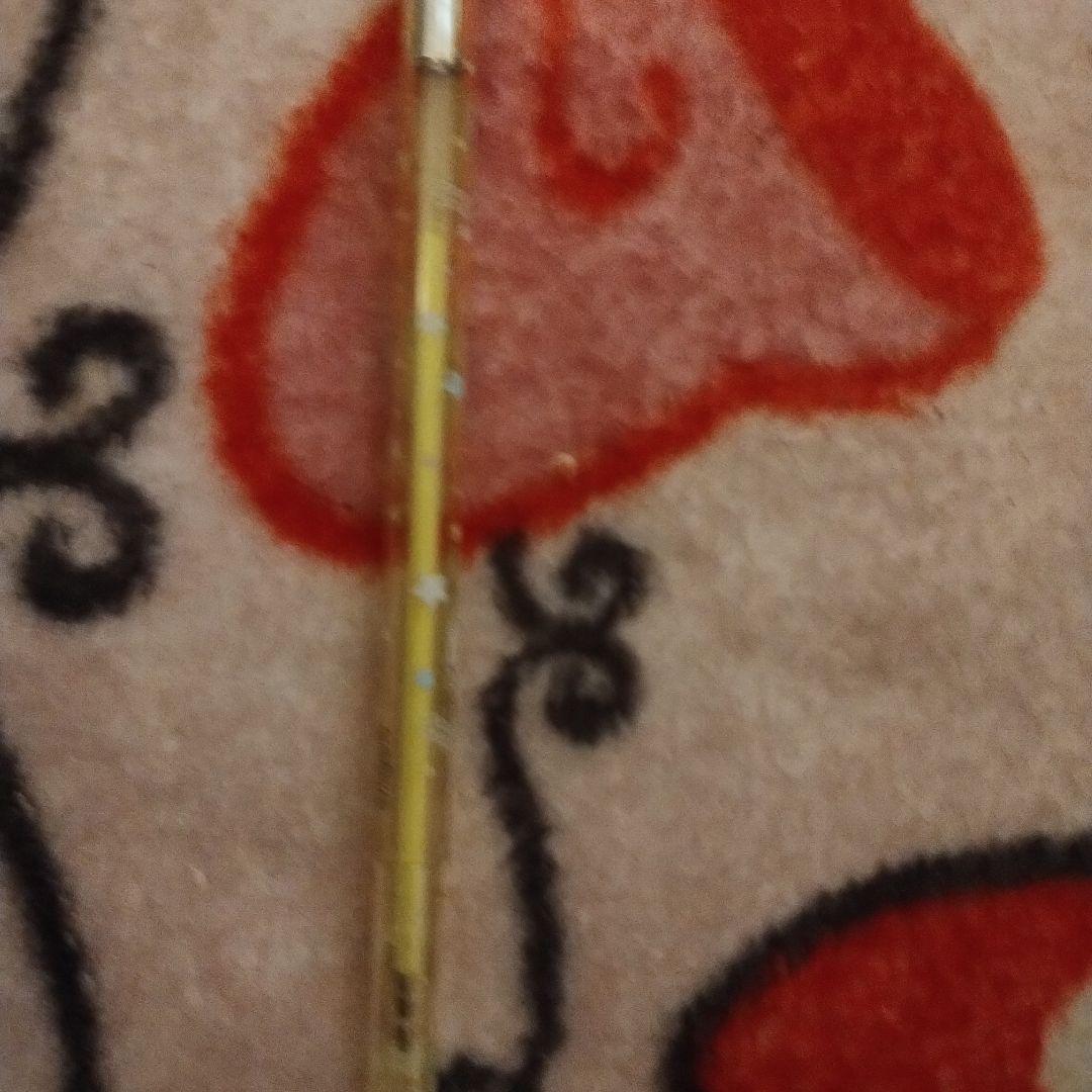 黄色ボールペン？