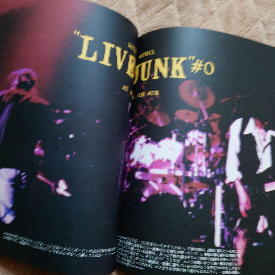 WANDS LIVE-JUNK ♯2 パンフレット