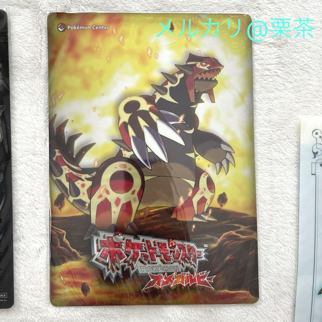 【ポケモンORAS】ポケモンセンター限定購入特典　ニューホウエンアートブック他